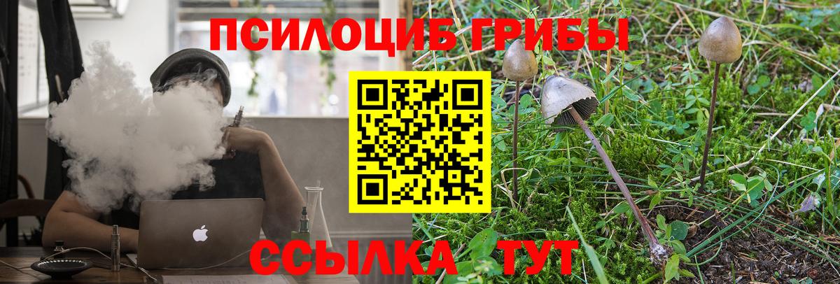 Полевской  Псилоцибиновые грибы ЛСД  Вход с VPN  Псилоцибиновые грибы GOLDEN TEACHER 